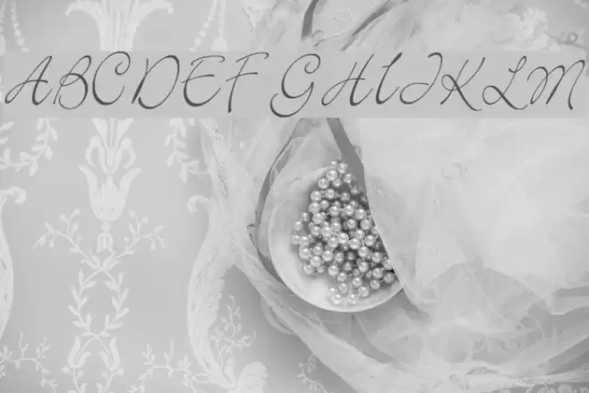 Elegant Font examples