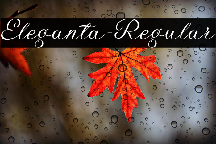 Eleganta-Regular Example 3