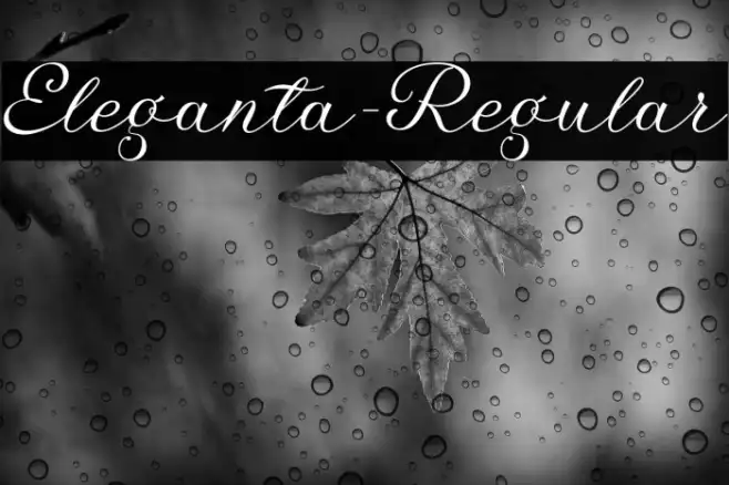 Eleganta-Regular Example 3