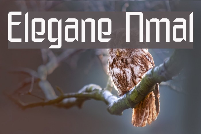 Elegante Normal Font examples