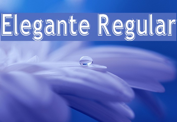Elegante Regular Font examples