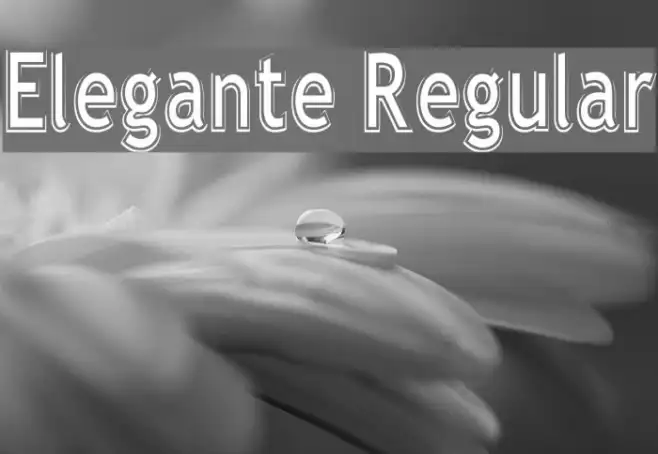 Elegante Regular Example 1