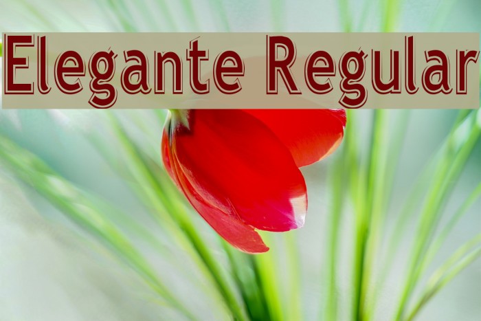 Elegante Regular Font examples