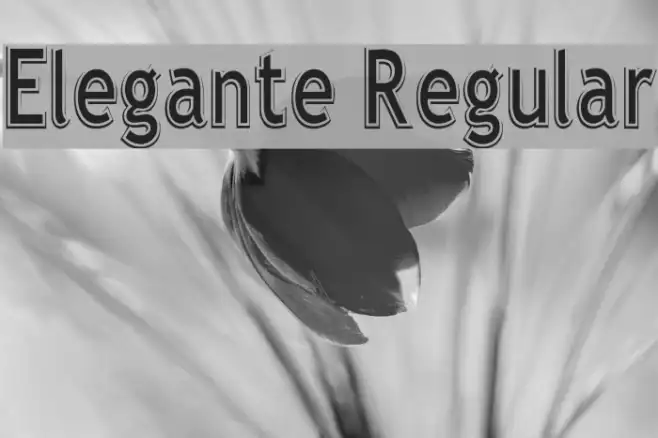 Elegante Regular Example 3