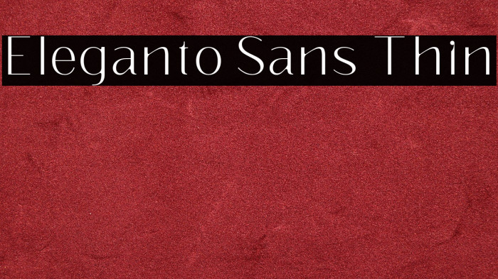 Eleganto Sans Thin Example 1