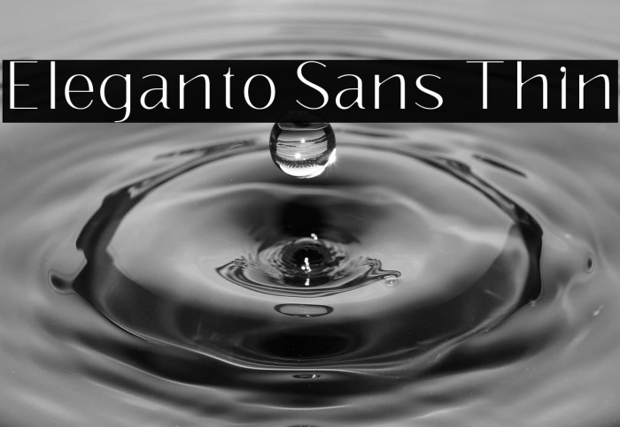 Eleganto Sans Thin Example 3