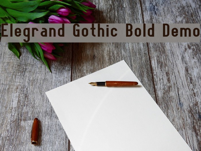 Elegrand Gothic Bold Demo Font examples