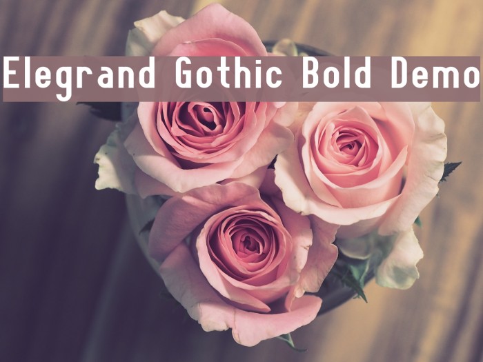 Elegrand Gothic Bold Demo Font examples