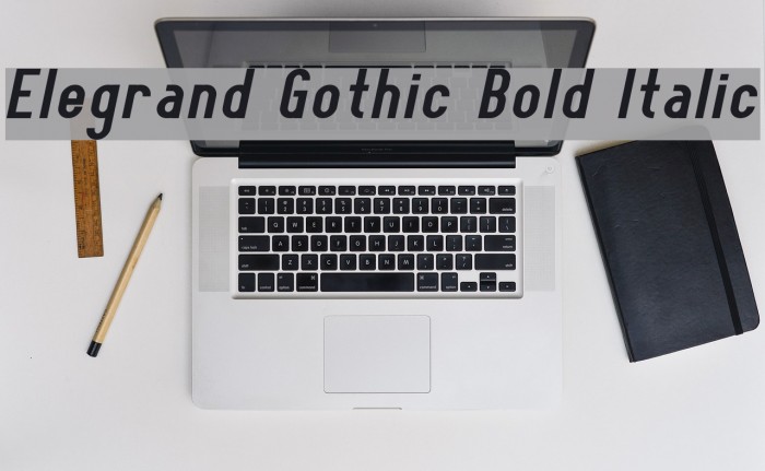 Elegrand Gothic Bold Italic Example 1