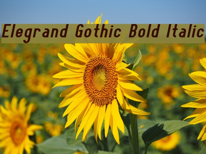 Elegrand Gothic Bold Italic Example 2