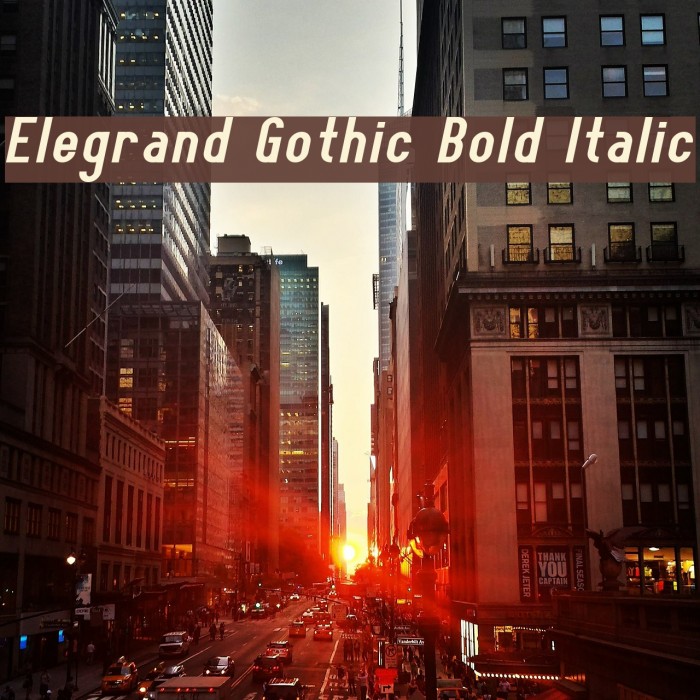 Elegrand Gothic Bold Italic Example 3