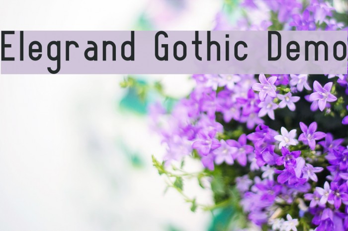 Elegrand Gothic Demo Example 1