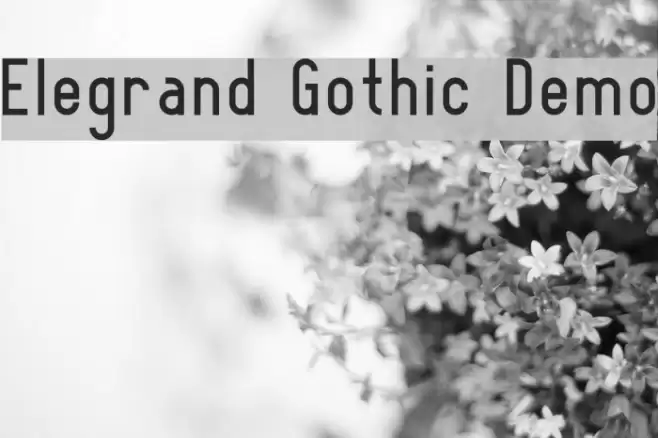 Elegrand Gothic Demo Font examples