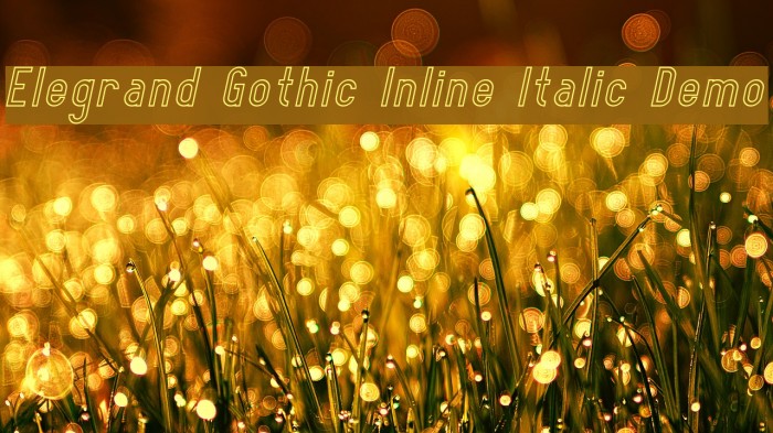 Elegrand Gothic Inline Italic Demo Font examples