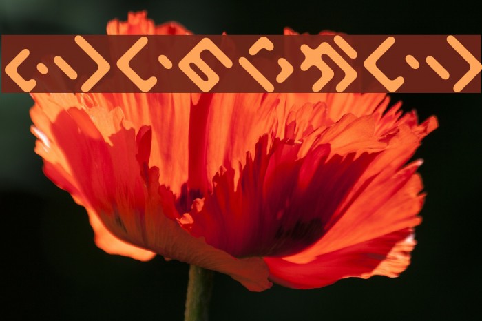 ElekitelHR Example 1