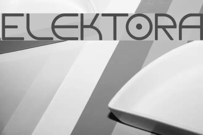 Elektora Example 1