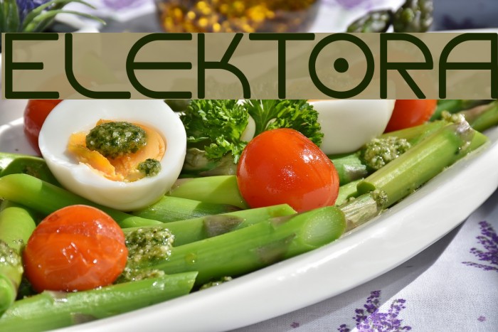 Elektora Font examples