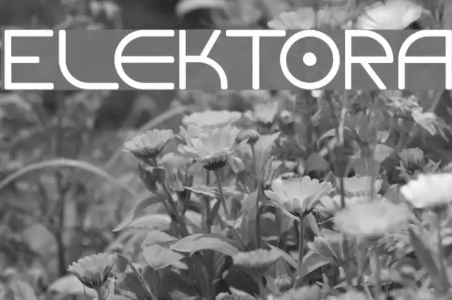 Elektora Example 3