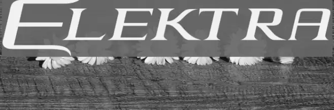 Elektra Font examples