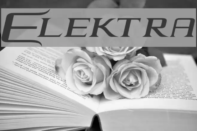 Elektra Font examples