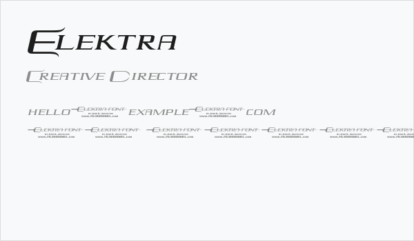Elektra Business Card