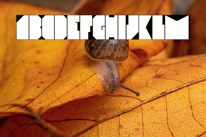 Elektro Regular Example 3