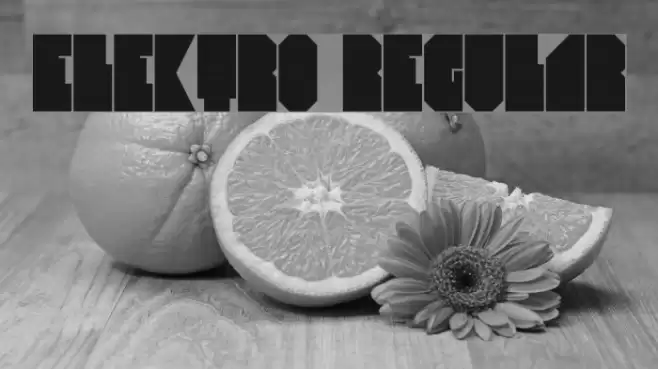 Elektro Regular Font examples