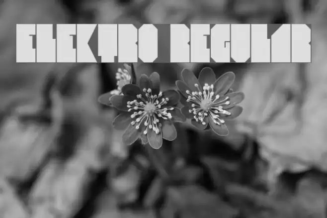Elektro Regular Font examples