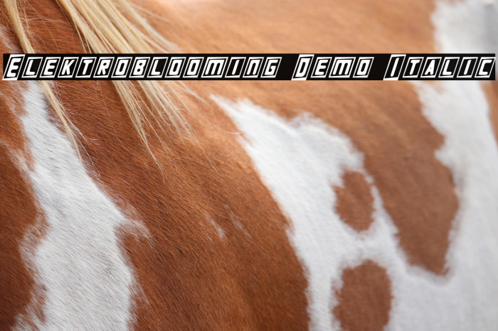 Elektroblooming Demo Italic Example 3