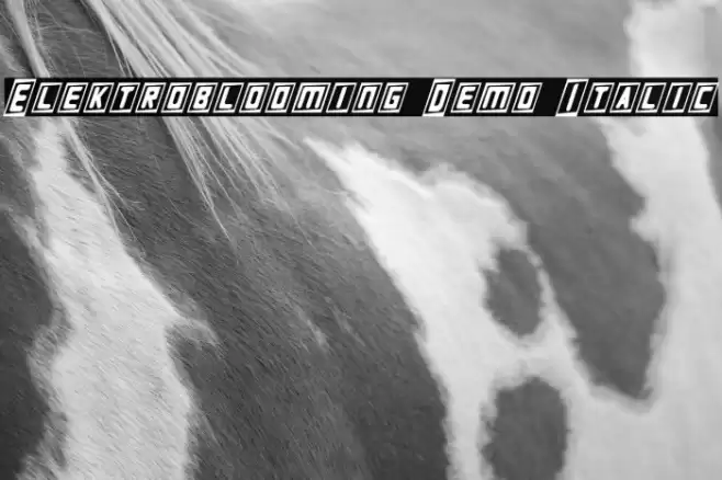 Elektroblooming Demo Italic Font examples