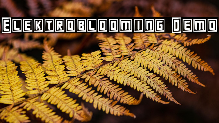 Elektroblooming Demo Example 1