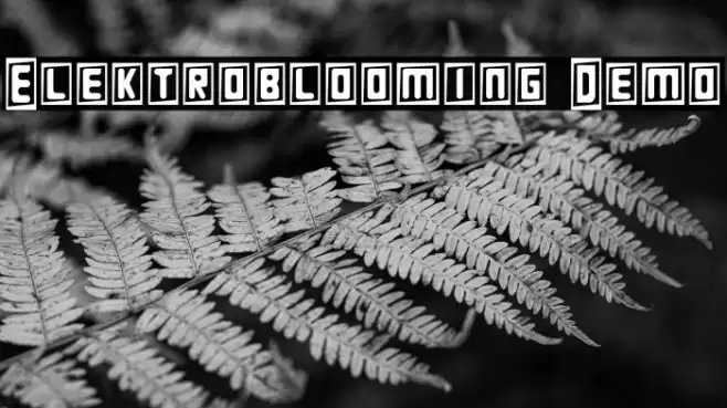 Elektroblooming Demo خط examples