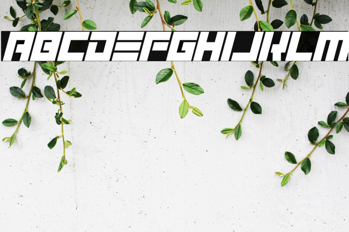 Elektronik Italic Example 1