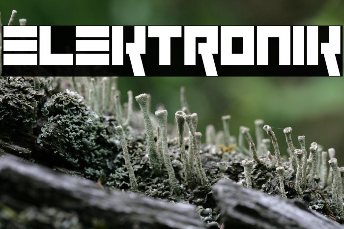 Elektronik Example 3