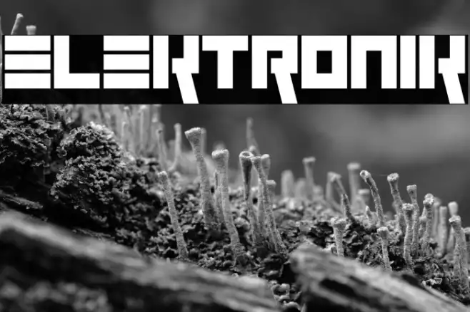 Elektronik Example 3