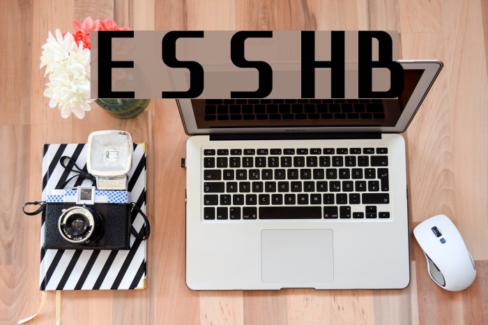 Eleme S Sans HBold Font examples