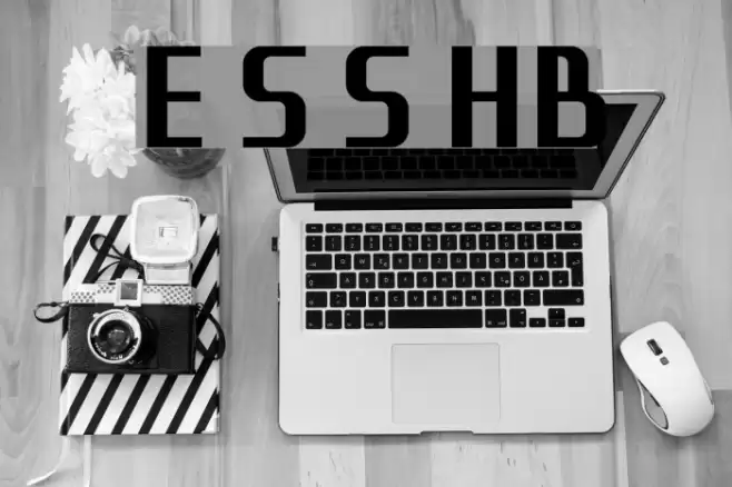 Eleme S Sans HBold 字体 examples