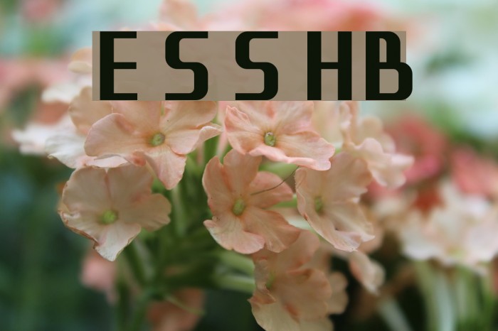 Eleme S Sans HBold Font examples