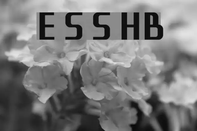 Eleme S Sans HBold 字体 examples