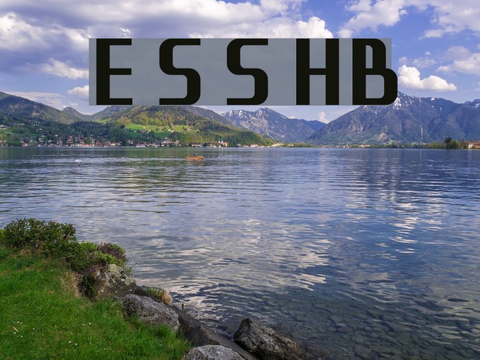 Eleme S Sans HBold Font examples