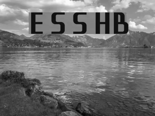 Eleme S Sans HBold 字体 examples