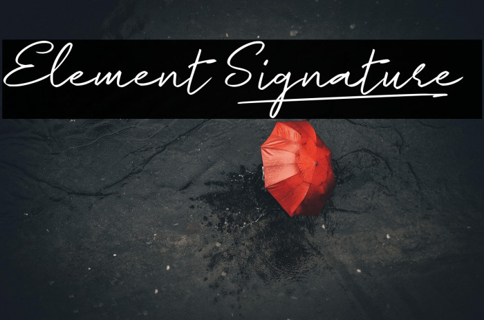 Element Signature_ Example 1