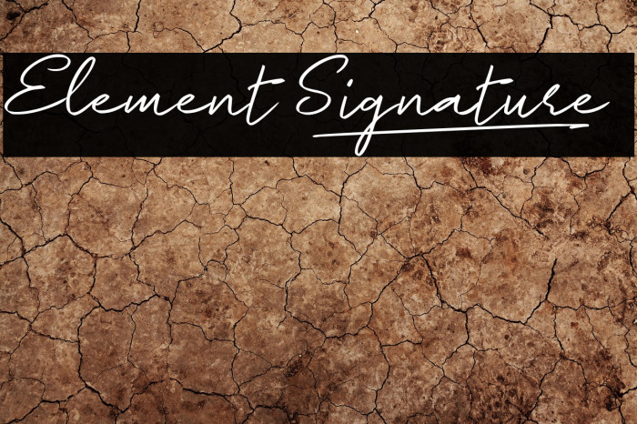 Element Signature_ Example 2