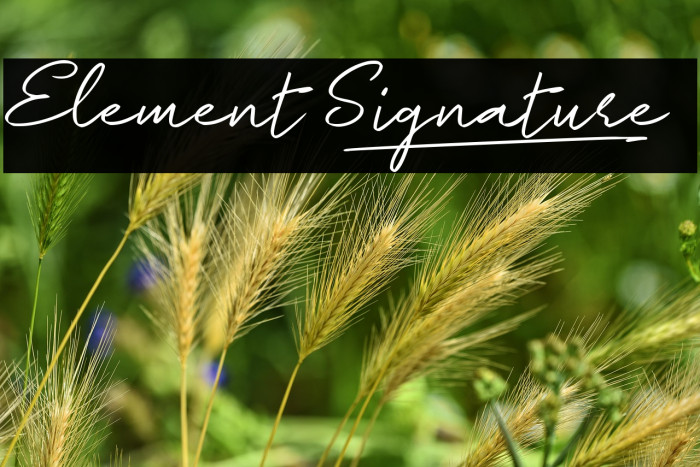 Element Signature_ Example 3