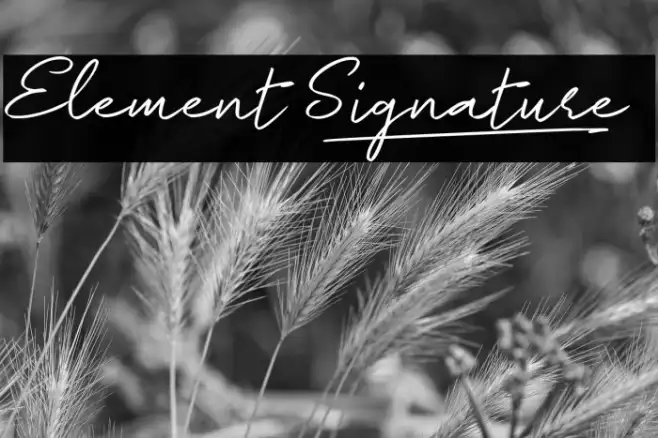 Element Signature_ Example 3