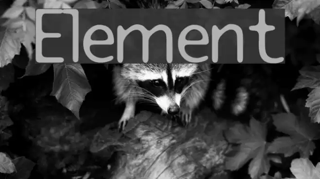 Element フォント examples