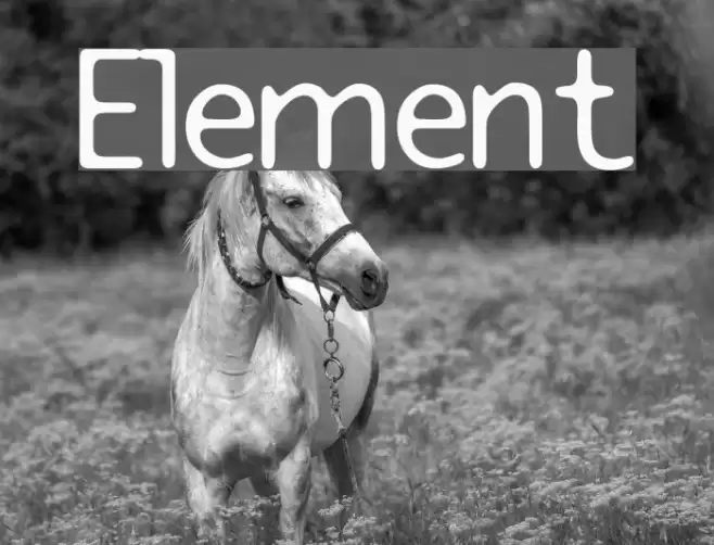 Element フォント examples