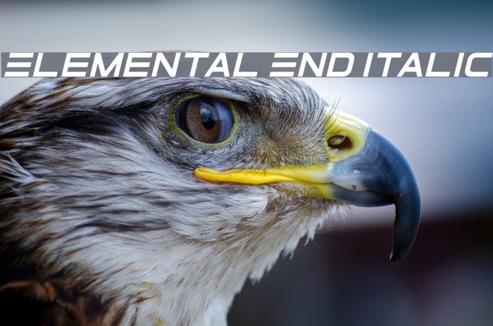 Elemental End Italic Font examples