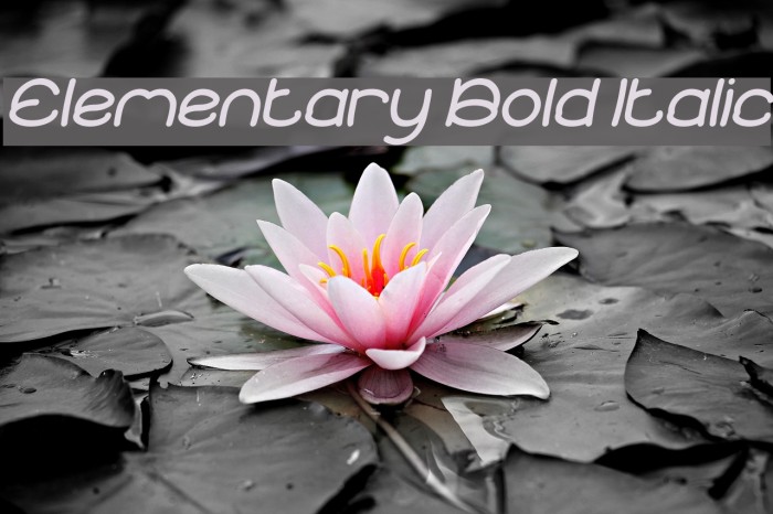 Elementary Bold Italic Font examples