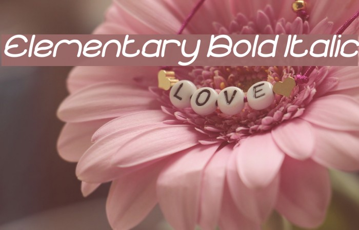 Elementary Bold Italic Font examples